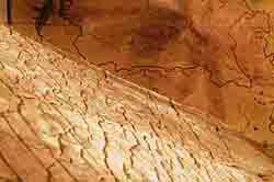 Рельефная карта Земли составлена 120 миллионов лет назад!