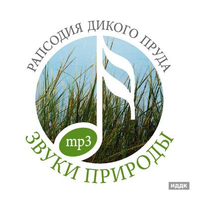 Звуки природы (ИДДК) - Коллекция (31 CD) Звуки природы (ИДДК) - Коллекция (31 CD)