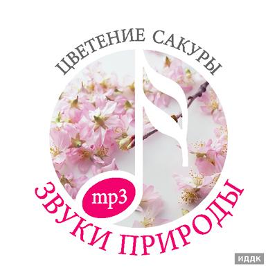 Звуки природы (ИДДК) - Коллекция (31 CD) Звуки природы (ИДДК) - Коллекция (31 CD)