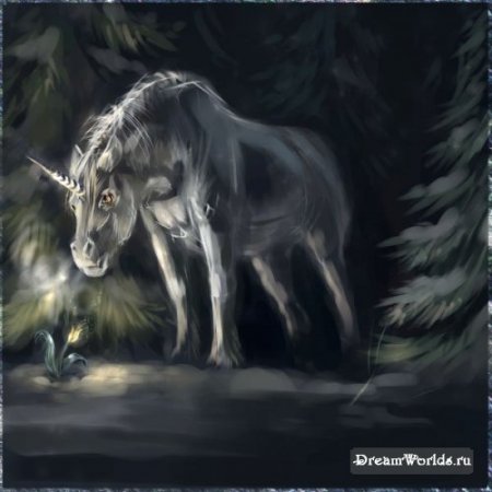 Красивые и величественные. Пегасы и Единороги