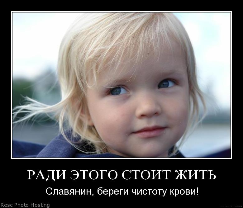 Законы РИТА Законы РИТА