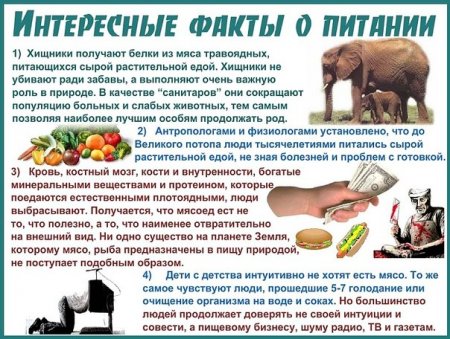 Почему не стоит есть мясо