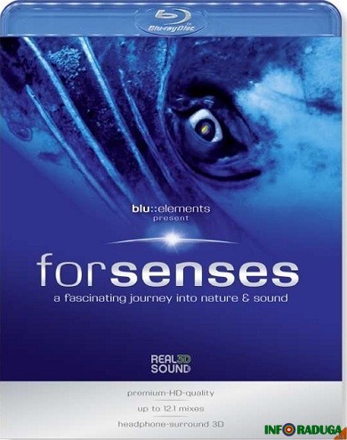       / ForSenses : A Fascinating journey into Nature & Sound