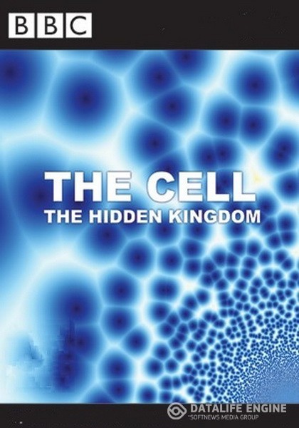 Клетка, или Из чего состоит жизнь / Cell. The Hidden Kingdom