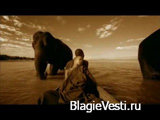 Фильмы путешествия по мирам образов и смыслов.