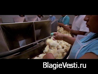 Фильмы путешествия по мирам образов и смыслов.