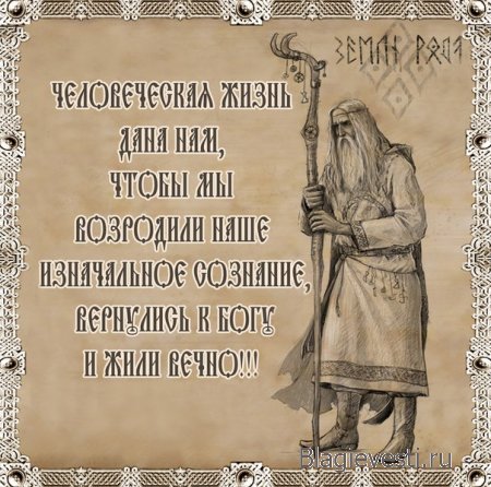 Иногда Бог бросает тебе вызовы, чтобы обнаружить Силу в тебе.